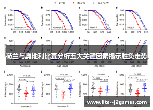 荷兰与奥地利比赛分析五大关键因素揭示胜负走势